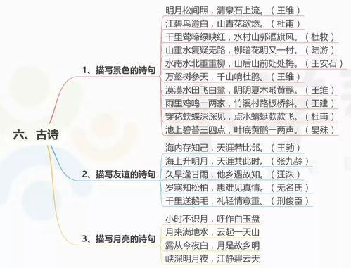 中小學(xué)生,基礎(chǔ)知識(shí),必備,思維