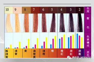 美發(fā)色彩的基礎(chǔ)知識