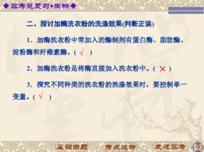 高中生物基礎(chǔ)知識精講