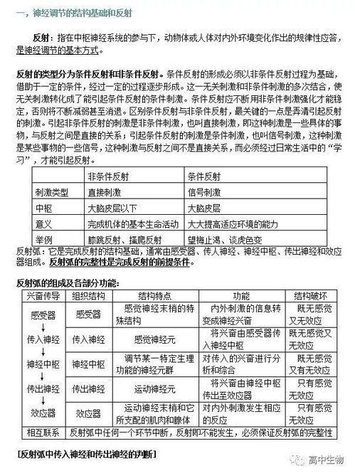 背部調(diào)理基礎(chǔ)知識