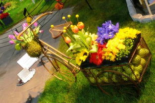 基礎(chǔ)知識(shí),種植,綠化