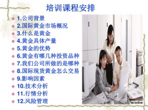 基礎(chǔ)知識,黃金,培訓(xùn)