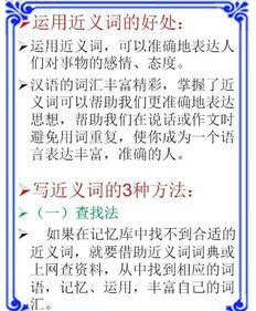 基礎(chǔ)知識同義詞