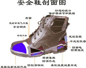 基礎(chǔ)知識(shí),安全鞋