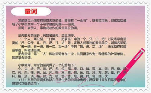 基礎知識,必備,小學