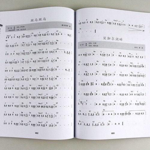 電子琴,基礎(chǔ)知識(shí),知識(shí)