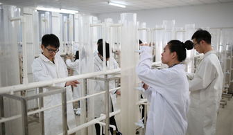 設計師應具備哪些自然科學基礎知識