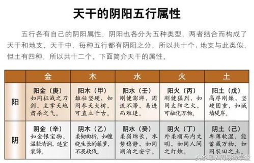 天干地支與五行(八字入門基礎(chǔ)知識(shí))