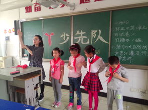 少先鋒隊基礎知識宣講信息總結