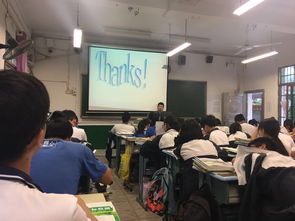 素養(yǎng),知識(shí)講座,基礎(chǔ)