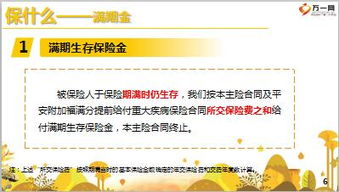 平安保險(xiǎn)基礎(chǔ)知識(shí)內(nèi)容