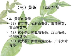 茶葉基礎(chǔ)知識課件免費