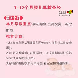 圣經(jīng),基礎(chǔ)知識(shí)