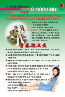 基礎(chǔ)知識(shí),人口與計(jì)劃生育