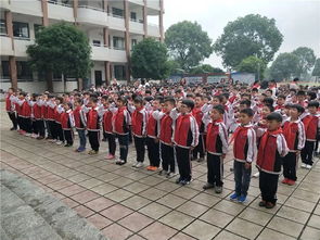 少先隊基礎(chǔ)知識測試題,少先隊基礎(chǔ)知識問答,少先隊基礎(chǔ)知識100題