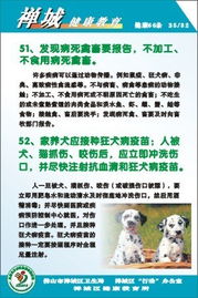 中醫(yī)藥,健康教育,基礎(chǔ)知識