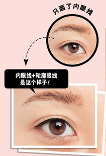 整形類基礎(chǔ)知識(shí)