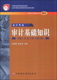 審計(jì)基礎(chǔ)知識(shí)第二版教案