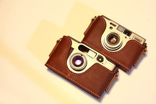 皮具基礎(chǔ)知識(shí)大全