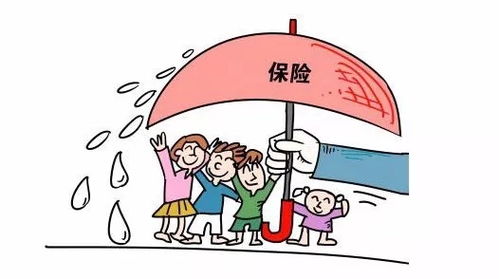 保險基礎知識的總結(jié)怎么寫,保險基礎知識心得體會總結(jié),保險基礎知識課程總結(jié)