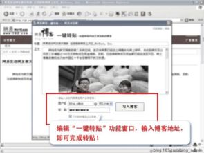 基礎(chǔ)知識(shí),博客