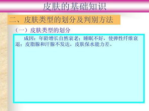 新生活皮膚基礎(chǔ)知識(shí)