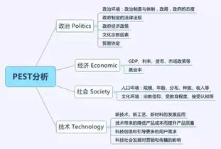 企業(yè)營(yíng)銷(xiāo)環(huán)境的基礎(chǔ)理論知識(shí)