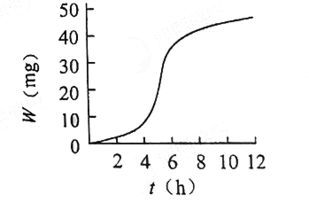 大腸,專業(yè)知識(shí),基礎(chǔ)