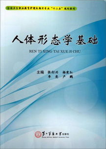 人體形態(tài)學(xué)基礎(chǔ)知識(shí)