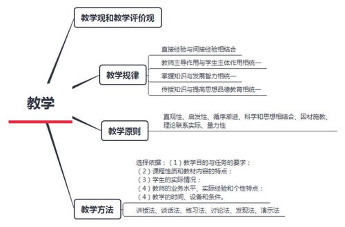 案例分析綜合基礎(chǔ)知識
