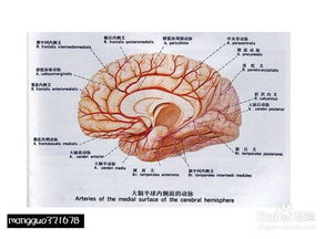 樂(lè)理基礎(chǔ)知識(shí)試卷,置業(yè)顧問(wèn)基礎(chǔ)知識(shí)試卷,基督教基礎(chǔ)知識(shí)試卷