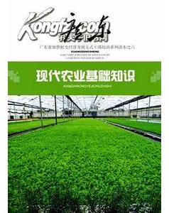 農(nóng)業(yè)農(nóng)村工作基礎(chǔ)知識,三支一扶農(nóng)業(yè)農(nóng)村基礎(chǔ)知識,公共基礎(chǔ)知識和農(nóng)業(yè)農(nóng)村基礎(chǔ)知識