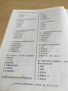 基礎知識,試題,影像,專業(yè)