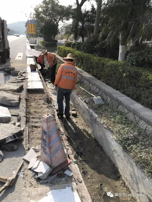 養(yǎng)護(hù),基礎(chǔ)知識,日常,公路