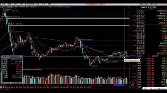 《股票基礎(chǔ)知識》