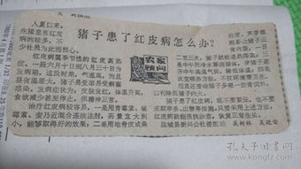 養(yǎng)豬基礎(chǔ)知識107