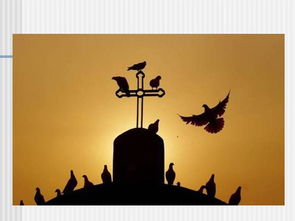 初學(xué)攝像基礎(chǔ)知識