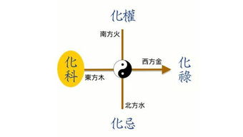 紫微斗數(shù)入門基礎(chǔ)知識
