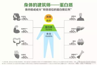 安利基礎知識蛋白質上簡便書