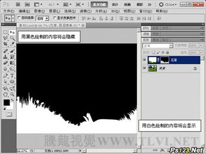 ps蒙版基礎(chǔ)知識