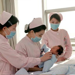 助產(chǎn)專業(yè)基礎(chǔ)知識