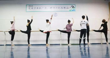 舞蹈基礎(chǔ)知識與基本功訓(xùn)練