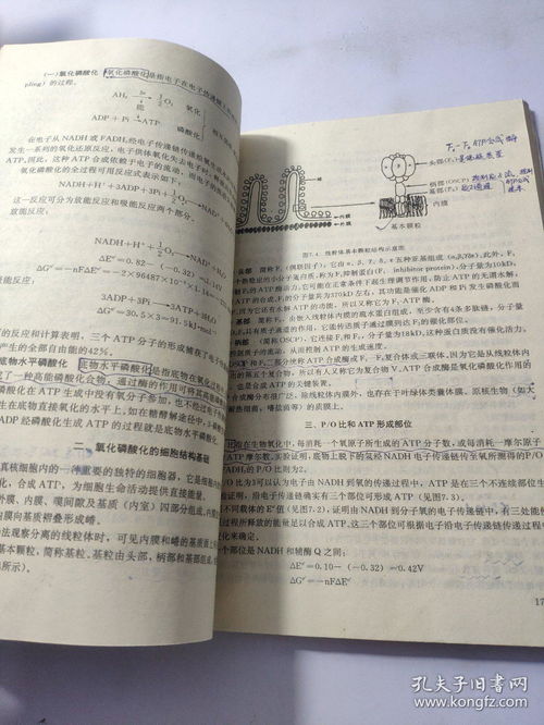 學(xué)好生物必須有化學(xué)基礎(chǔ)知識