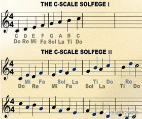 識譜的基礎(chǔ)知識