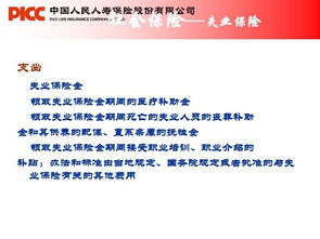 社保,基礎(chǔ)知識(shí),協(xié)管員