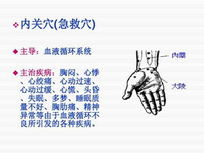 救助,基礎(chǔ)知識(shí),緊急