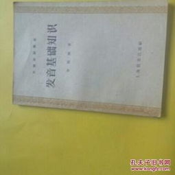 基礎(chǔ)知識(shí)怎么讀音