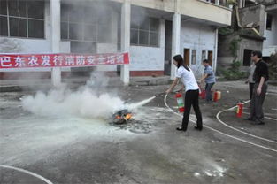 巴東,基礎知識,農(nóng)業(yè)