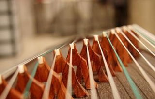 古箏入門基礎(chǔ)知識(shí)托