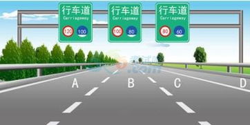 路通駕?？颇恳换A(chǔ)知識(shí)